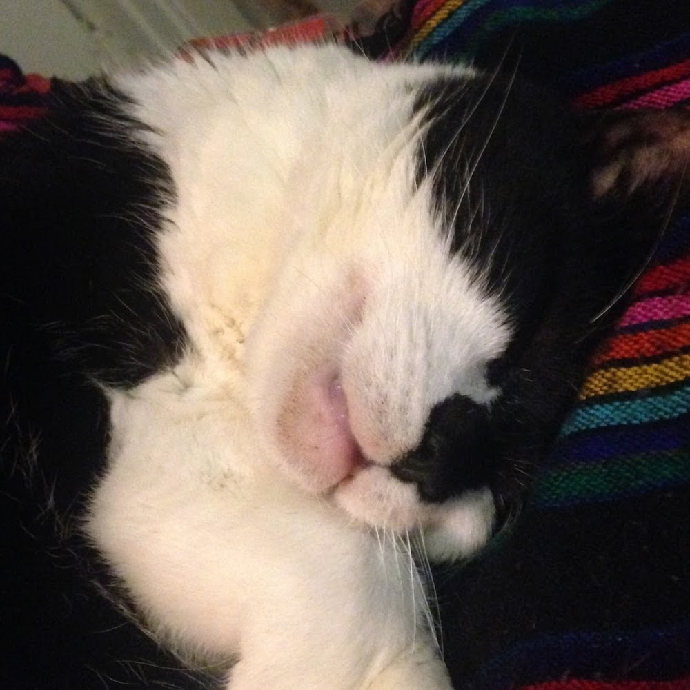 Meet your Posher, Aubrey